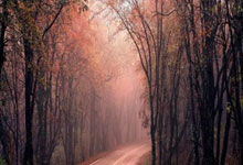 开云:努比亚总裁倪飞:红魔连续稳居全球电竞手机销量榜首,2024年业绩同比增幅达130%.