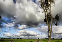 帕奎塔辩称:不存在故意染黄 那场都不想上场 闹着8000万转会曼城.