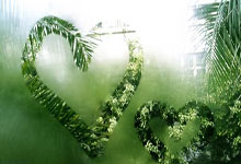 开云:上海女排招袁心玥外援重炮 张景胤27分双杀晋级俄超4强.