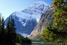 开云:威尔斯轰13+3!赵继伟9+2+8,弗格16分,奥利弗11+8,辽篮领先10分.