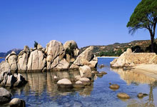 开云:佩德里谈与奥萨苏纳补赛时间:不解为何没安排在72小时休息时间后.